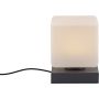 Paul Neuhaus DADOA 4036-13 Stolní lampa 1x7W/LED 3000k 580lm ip20