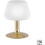 Paul Neuhaus TILL 4078-60 Stolní lampa 1x2,6W/G9 ip20