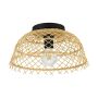 Eglo AUSNBY 43831 Stropní lampa 1x40W/E27 IP20