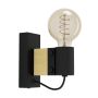 Eglo BAILRIGG 43903 Nástěnná lampa 1x40W/E27 IP20