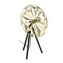 Eglo CASTANUELO 43808 Stolní lampa 1x40W/E27 IP20