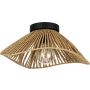 Eglo LAVISTER 44071 Stropní lampa 1x60w/e27 ip20