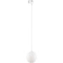 TK Lighting TRACER 4886 Kolejový reflektor 1x8W/G9 IP20