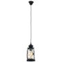 Eglo BRADFORD 49213 Závěsná lampa 1x60W/E27