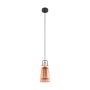 Eglo FRAMPTON 49153 Závěsná lampa 1x60W/E27 IP20