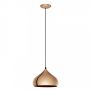 Eglo HAPTON 49449 Závěsná lampa 1x60W/E27