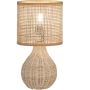 Fischer&Honsel Nature 50735 Stolní lampa 1x25w/e14 ip20