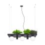 Zuma Line PLANT 5555 Závěsná lampa 40W/3xE14|2xgu10 IP20