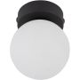 TK Lighting MINI 5613 Stropní lampa 1x6W/G9 IP20