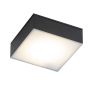 Antigo Tottori 8057 1x10W/LED 3000K 1150lm IP44