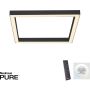 Paul Neuhaus PURE-LINES 6022-13 Stropní lampa 1x29W/LED 2700-5000k 2500lm ip20