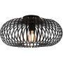 Trio JOHANN 606900132 Stropní lampa 1x60w/e27 ip20