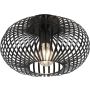 Trio JOHANN 606903032 Stropní lampa 1x60w/e27 ip20