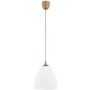 Alfa LERA 61465 Závěsná lampa 1x15W/E27
