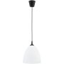 Alfa LERA 61466 Závěsná lampa 1x15W/E27