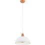 Alfa REY 61385 Závěsná lampa 1x15W/E27