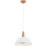 Alfa REYNO 61386 Závěsná lampa 1x15W/E27