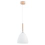 Alfa TAVOS 61209 Závěsná lampa 1x60W/E27 IP20