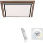 Paul Neuhaus PALMA 6141-79 Stropní lampa 2x50W/LED 2700-5000k 5100lm ip20