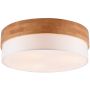 Trio SEASONS 611500301 Stropní lampa 3x40w/e27 ip20