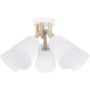 TK Lighting VAIO 666 Stropní lampa 5x60W/E27