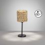 Fischer&Honsel Hyazinthe 50678 Stolní lampa 1x25W/E14 IP20