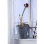 Markslojd GARDENER 703775 Stojací dekorace 1x0,32W/LED