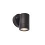 Endon PALIN 75434 Nástěnná lampa 7W/GU10 IP44