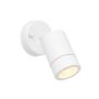 Endon PALIN 75443 Nástěnná lampa 7W/GU10 IP44