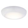 Endon FORCA 77892 Stropní lampa 12W/LED 4200K 1140LM IP65