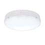 Endon FORCA CCT 77898 Stropní lampa 18W/LED 3000K/4200K/6500K 1600LM IP65