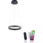 Paul Neuhaus Q-VITO 8410-13 Závěsná lampa 1x33W/LED 2700-5000k 3250lm ip20