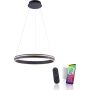 Paul Neuhaus Q-VITO 8411-13 Závěsná lampa 1x44W/LED 2700-5000k 4550lm ip20