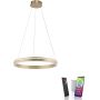 Paul Neuhaus Q-VITO 8411-60 Závěsná lampa 1x44W/LED 2700-5000k 4550lm ip20