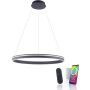 Paul Neuhaus Q-VITO 8412-13 Závěsná lampa 1x65W/LED 2700-5000k 7000lm ip20
