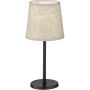 Fischer&Honsel Eve 850224 Stolní lampa 1x25w/e14 ip20