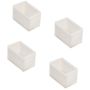 Zambelis NEON ECLS08-09 Krytka