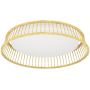 Eglo LUPPINERIA 900797 Stropní lampa 1x20W/LED 3000K 2400lm IP20