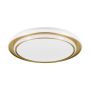 Eglo MOSCHETTA 902045 Stropní lampa 36W/LED 2700K, 4000K, 6500K 4800lm ip20