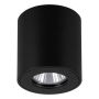 Eglo TORRECOLA 901028 Stropní lampa 1x5W/GU10|LED IP44