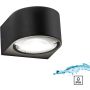 Paul Neuhaus CARLA 9460-13 Nástěnná lampa 2x11W/LED 3000k 1150lm ip54