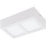 Eglo COLEGIO 95201 Stropní lampa 2x4,2W/LED 1100LM