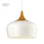 Eglo OBREGON 95383 Závěsná lampa 1x60W/E27