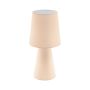Eglo FIUMANA 97567 Stolní lampa 1x40W/E14