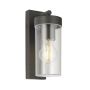 Endon HAYDEN 98439 Nástěnná lampa 15W/E27 IP44