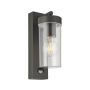 Endon HAYDEN PIR 99756 Nástěnná lampa 15W/E27 IP44