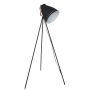 Italux FRANKLIN ML-HN3068-B+RC Stojací lampa 1x60W/E27