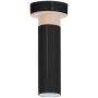 Milagro PEDRO BLACK MLP4263 Stropní lampa GU10 IP20
