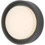 Dar Lighting RALPH RAL5239 Nástěnná lampa 1x9W/LED 3000K 626LM IP65
