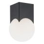 Argon AUSTIN 4713 Stropní lampa 1x7W/E14 IP20